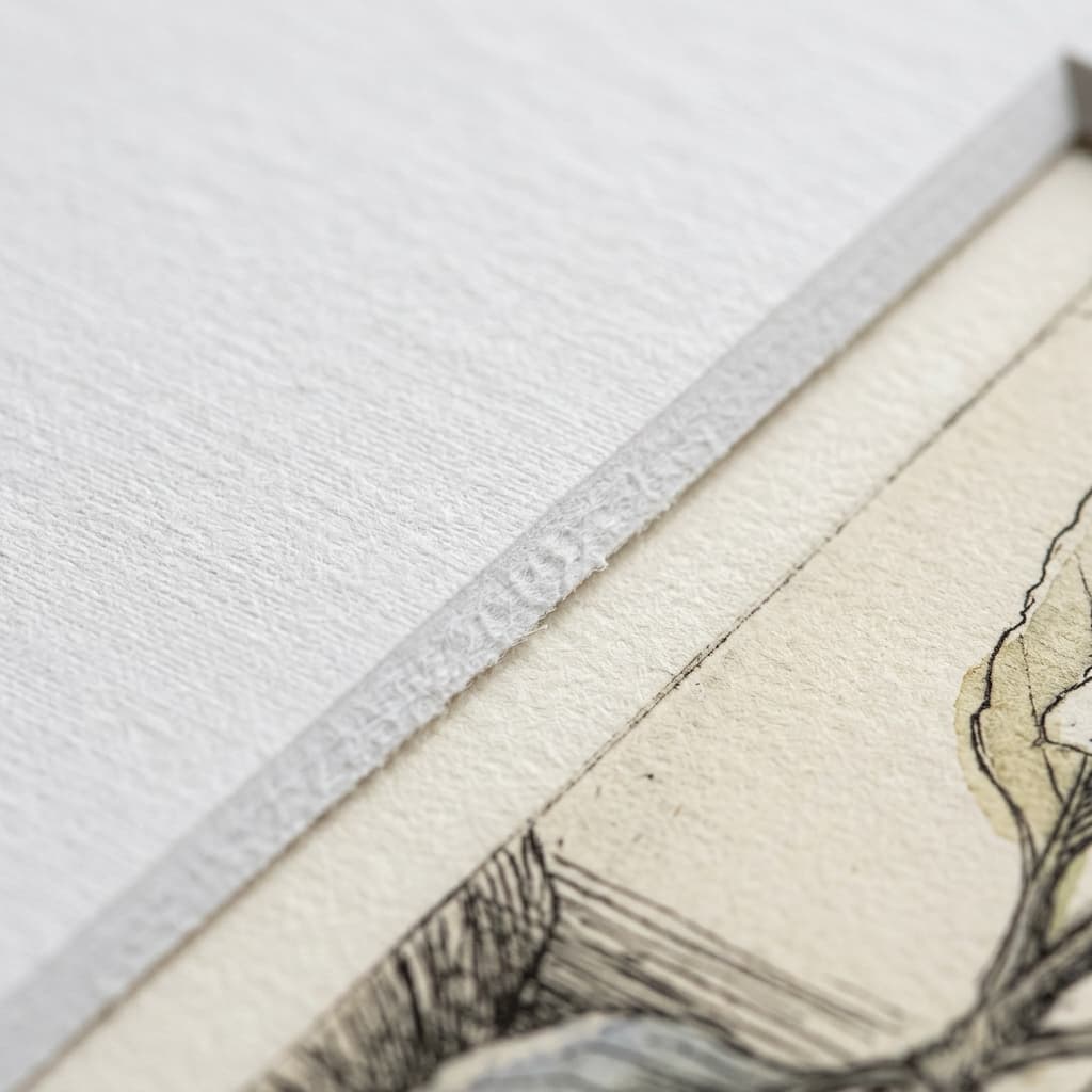 Gravuras, Litografias & Desenhos